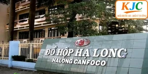 Phản hồi của Halong Canfoco